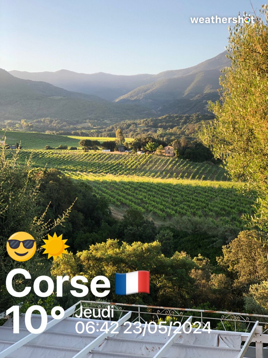 Bonne journée ensoleillée 

#corse  #vignoble