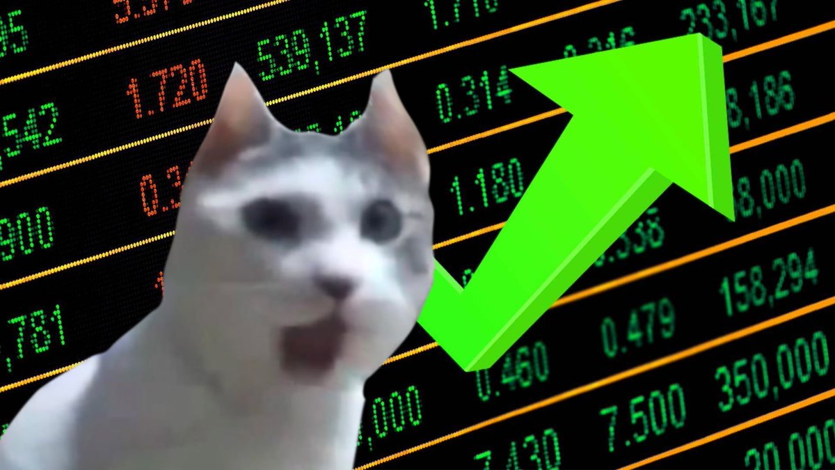 OMG THE BOTTOM IS IN!!! #OMGCAT

JCpgSDrDZFsPAD2v9xtp4NtrrXY2eVv4jNE5AgWiJ6qL