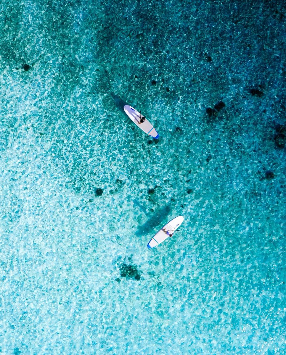 Stand tall on your paddleboard and soak in the breathtaking Maldivian views at Kuredu! 🏄‍♀️✨

📸: @KureduResort

#TravelTradeMaldives #Maldives #VisitMaldives #Explore #LuxuryTravel #VacayGoals #BestOfMaldives #MustVisit #VacationMode #KureduIslandResort