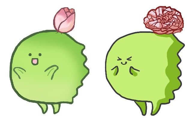 「開花したってわけ」|ののののイラスト