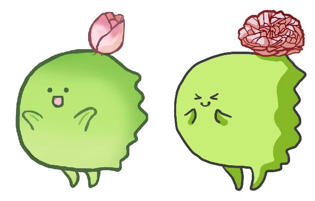 開花したってわけ
