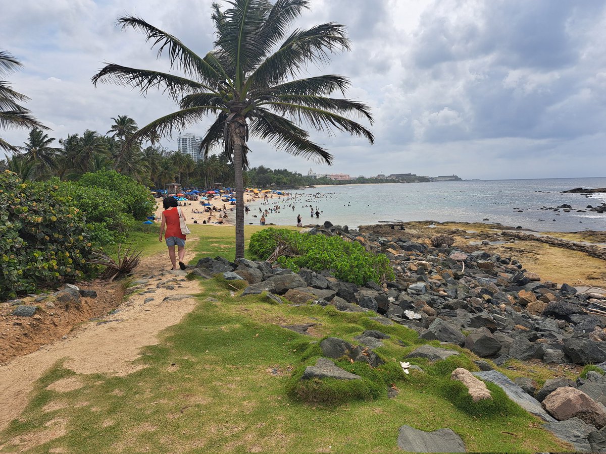 MarinaBellet's tweet photo. Memorable days spent in #puertorico between old friends and great science at the #srbr2024 @SRBR_Outreach https://t.co/HD9XJuws6Q