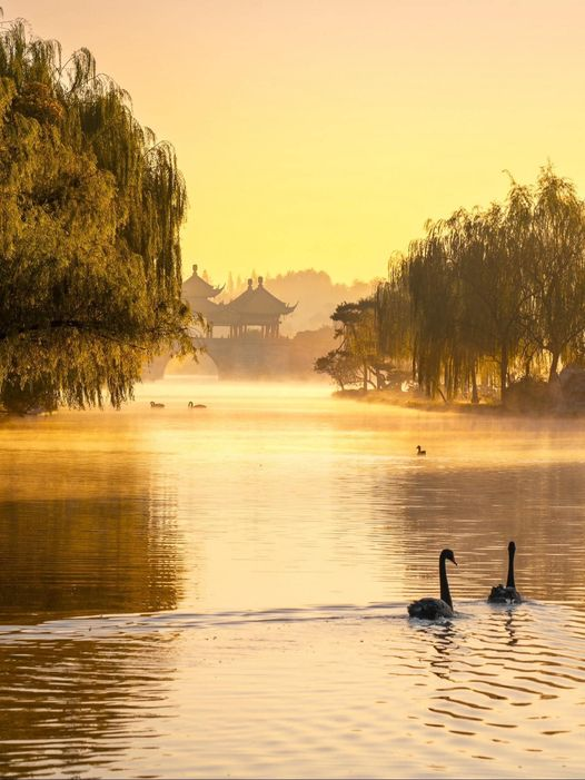 liguihong0625's tweet photo. ⛳️In the misty and flowery March, going down to Yangzhou · Slender West Lake.
煙花三月下揚州·瘦西湖
#naturephoto #BRIDGERTON #beautybloger https://t.co/n1ijBFZGnP