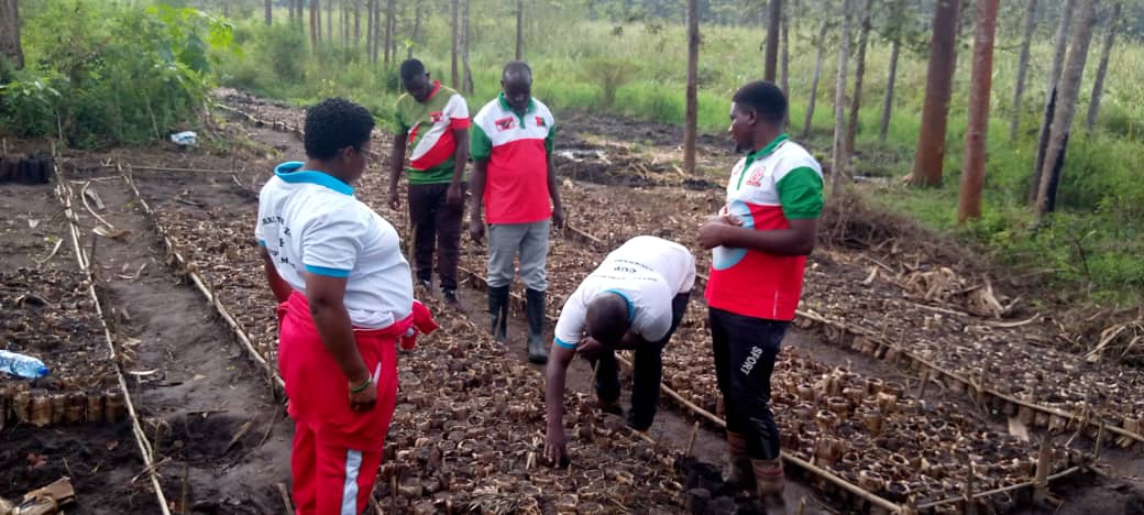 CnddFddButanyer's tweet photo. Umunyamabanga wa @CnddFdd  muri Komine #Kirundo arabandanya kugendera abagumyabanga mu mitumba yirabira aho umugambi  gutegura amatuta y'amavoka ugeze.
Kuri 22/5/2024 yari i #Gatorongero, #Gaturanda, #Karisha, #Kigina na #Muyumpu, aho bamaze guhumbika amavoka 14.700.
@R_Ndikuriyo https://t.co/P3q2ZdYbYs