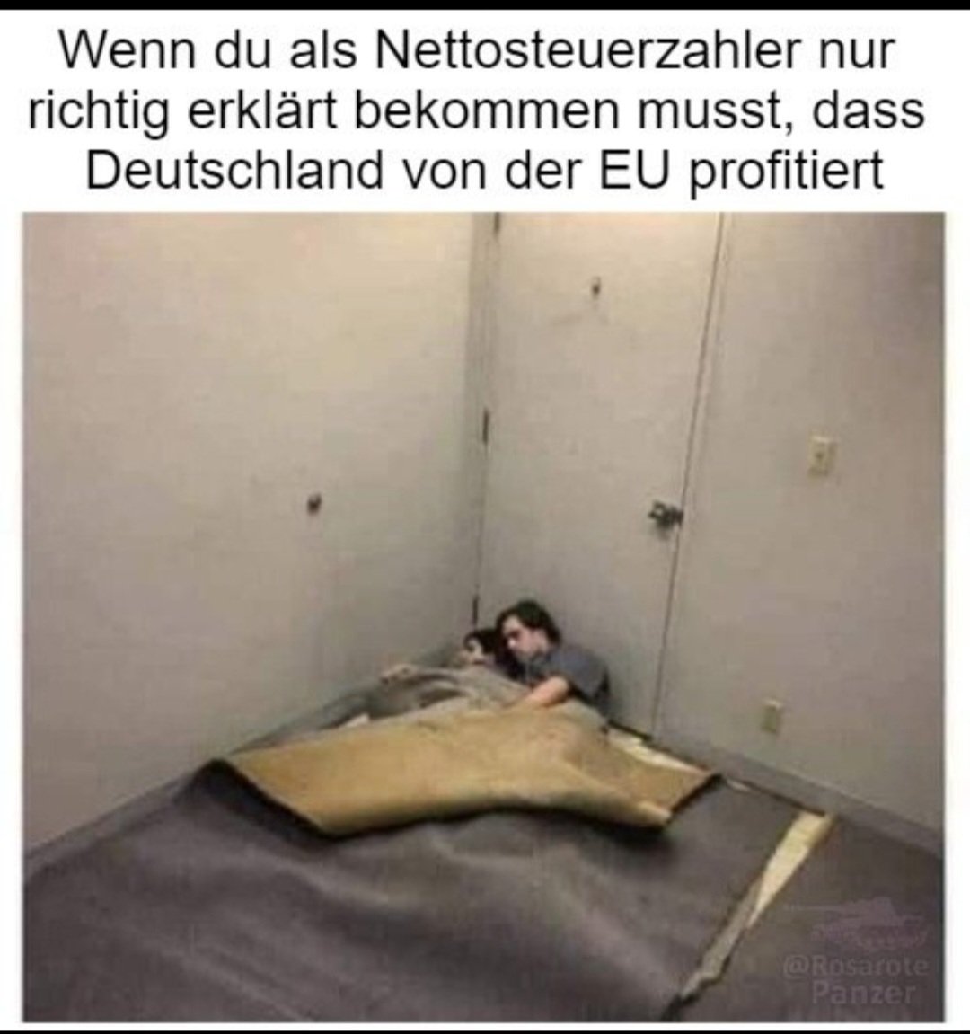 EU-Reform im Sinne der deutschen Interessen gibt es nur mit der AfD!
#AbschiebeArnold #Europaneudenken