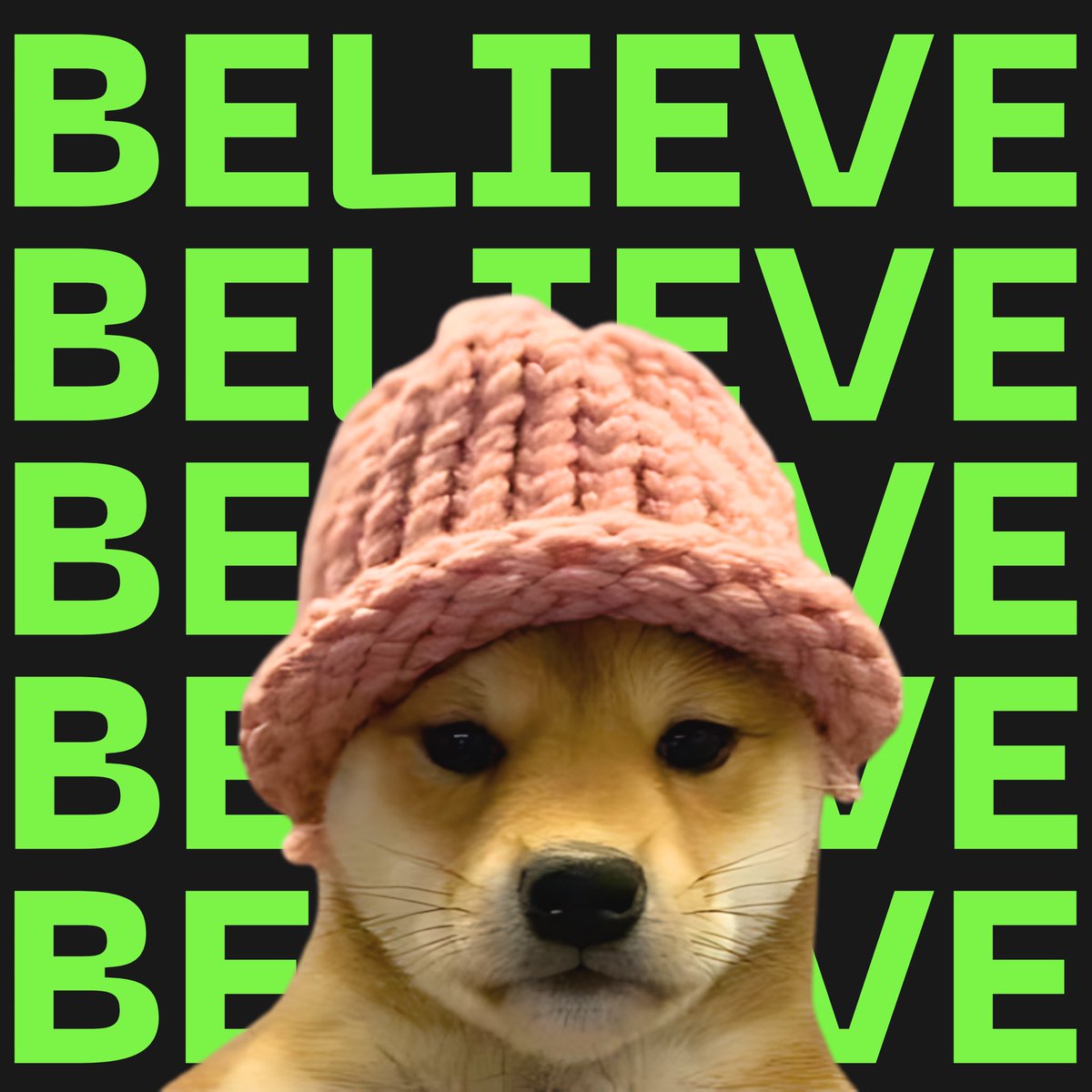 CryptoSrm's tweet photo. No dog like our top dog.

$WIF is destined to be the #1 meme of this cycle.

You just gotta BULLIEVE. https://t.co/wd1wdJxhnm