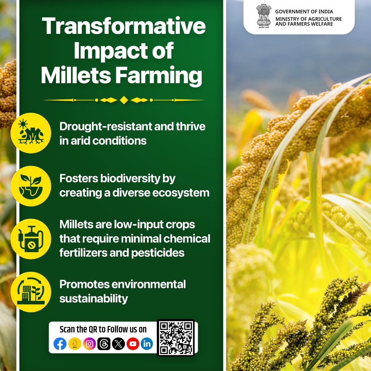 Millets farming has a transformative impact by offering sustainable agriculture solutions & enhancing food security by creating a diverse ecosystem with its myriad properties from being drought & pest resistant to catering the food requirement to human beings. #IYM2023 #ShreeAnna