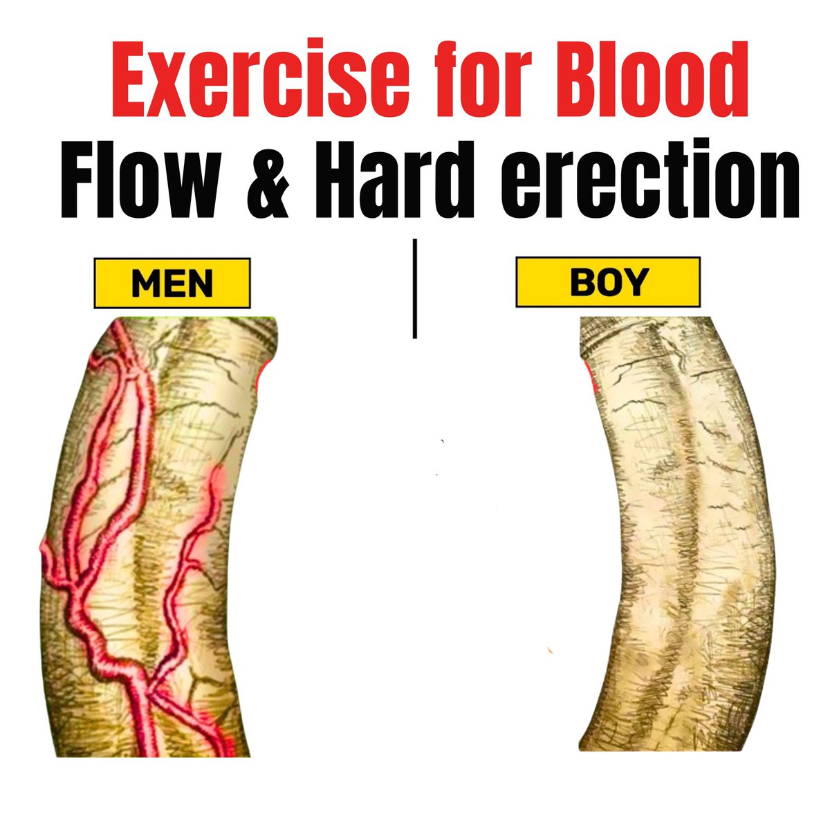 LifeImproved's tweet image. Boost your blood flow and circulation on the groin area. 

(Watch these videos) 👇 N0 4 exercise a must do for blood flow 🍆

(Education purpose only)