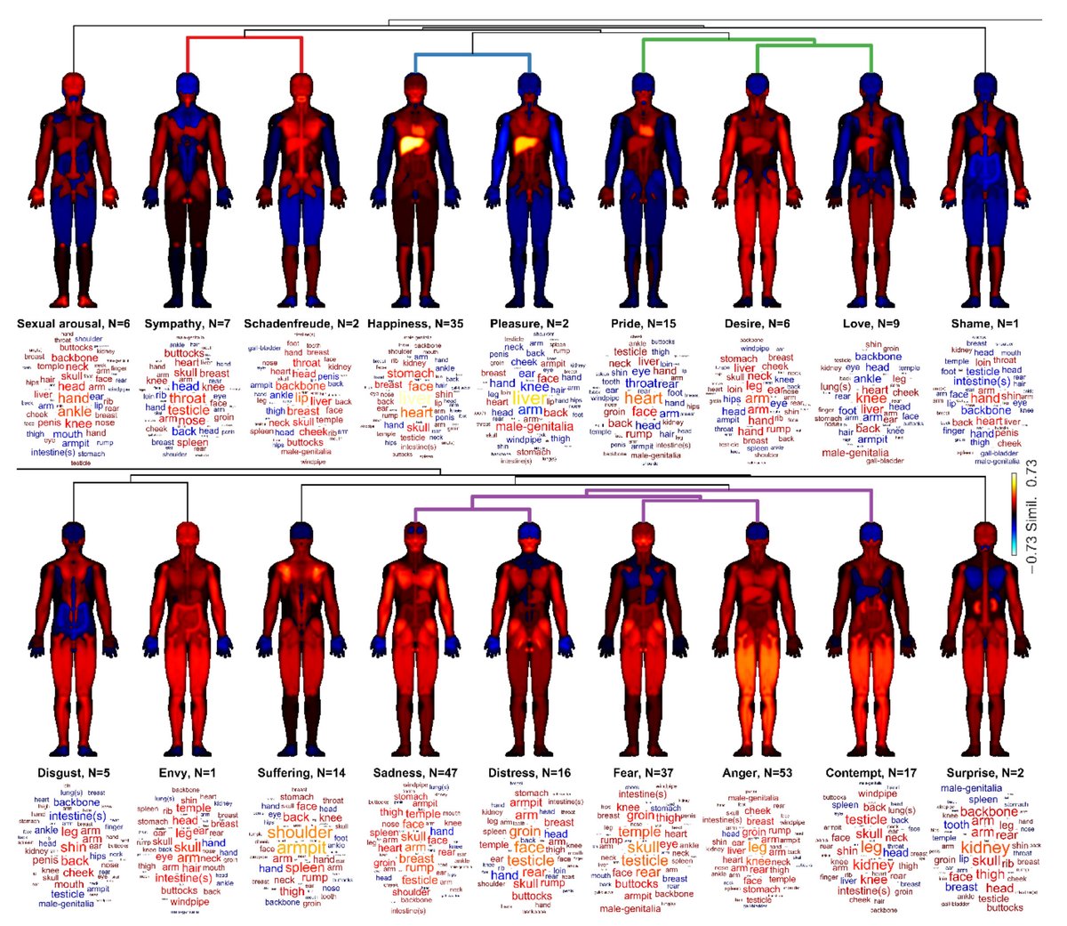 Lauri Nummenmaa (@lnummenmaa) on Twitter photo Behold the most amazing <a href="/TurkuPETCentre/">Turku PET Centre</a> Emotion Lab bodymap study ever! This time we mapped the bodily representations of emotions in ancient Assyrian texts with <a href="/JuhaLahnakoski/">Juha Lahnakoski</a> and <a href="/SaanaSvard/">Saana Svärd</a>'s team. A preprint now out: osf.io/preprints/psya… Behold the most amazing <a href="/TurkuPETCentre/">Turku PET Centre</a> Emotion Lab bodymap study ever! This time we mapped the bodily representations of emotions in ancient Assyrian texts with <a href="/JuhaLahnakoski/">Juha Lahnakoski</a> and <a href="/SaanaSvard/">Saana Svärd</a>'s team. A preprint now out: osf.io/preprints/psya…