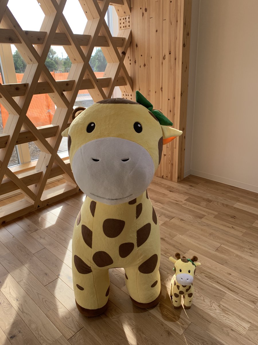 aqurahome_'s tweet photo. 暖かくて広い空間が大好きな #あきゅりん は
純木造8階建て新社屋でのびのびと暮らしています♪

新社屋の受付には身長110㎝あきゅりんも加わりました🦒
長い首を伸ばしてたくさんのワクワクを見つけ
皆さまにお届けします🍃

https://t.co/hrRU6fui1f https://t.co/IckOZn5ieR
