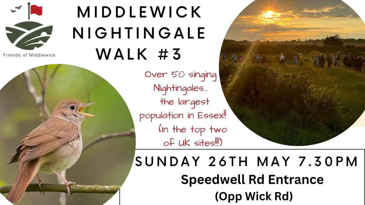 Don't forget we have the last 2 nightingale walks this weekend,  if you are free Friday  and Sunday evening you are more than welcome to come along