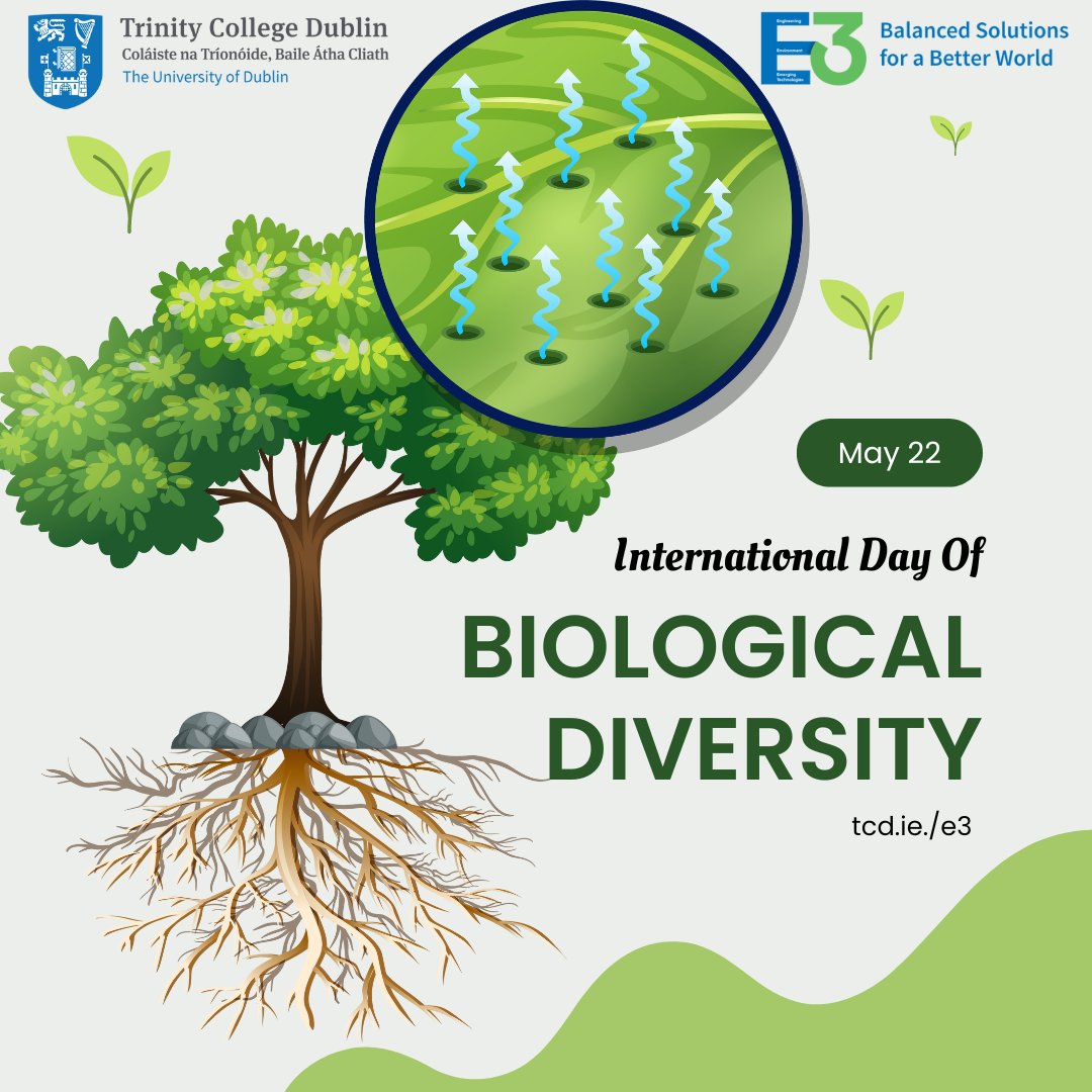 Celebrate International Biodiversity Day with E3! Let's honour the incredible variety of life on Earth & commit to protecting it for future generations. Together, we can create Balanced Solutions for a Better World. #BiodiversityDay #BalancedSolutions #BetterWorld #Sustainability