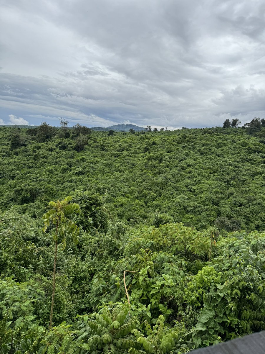 marlenebarduhn's tweet photo. Note to Deutschland: Ich hab im tiefsten Wald in Kenia übrigens LTE. Die Hyänen hier könnten 4K streamen und ich empfange in so mancher Berliner U-Bahn keine Nachrichten. https://t.co/jA3QPDYsMg