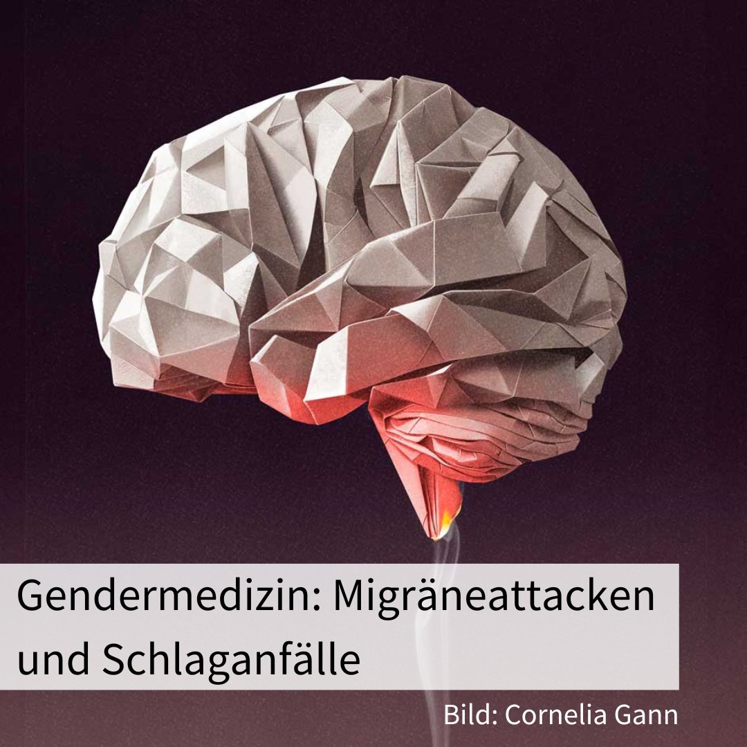 Das Geschlechtshormon Östrogen schützt Frauen vor Migräne und Schlaganfällen. Dennoch erleiden mehr Frauen als Männer einen Hirnschlag. Neurologin Susanne Wegener geht den Ursachen auf den Grund: news.uzh.ch/de/articles/ne… @SuseWegener #Gendermedizin