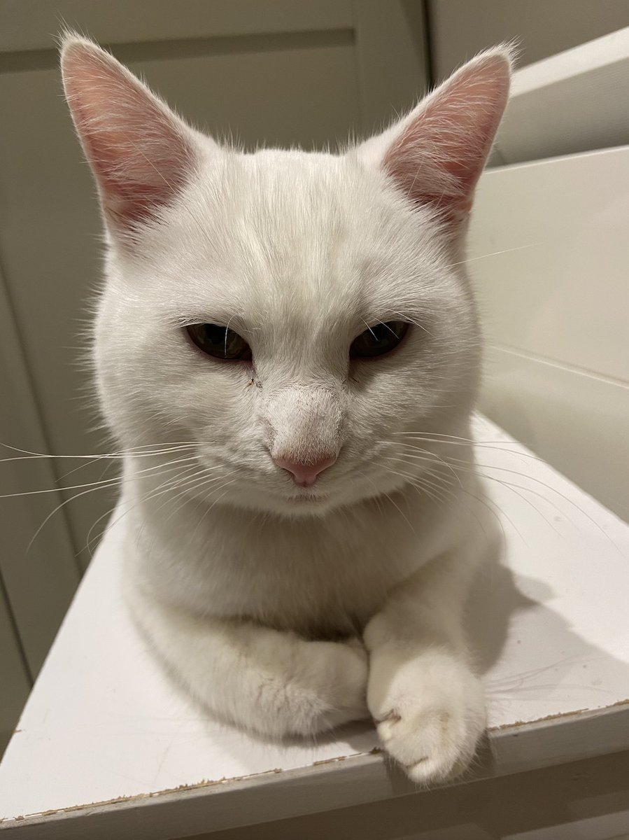 Sophie Gadd tweet media