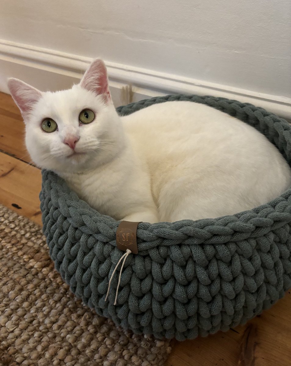 Sophie Gadd tweet media