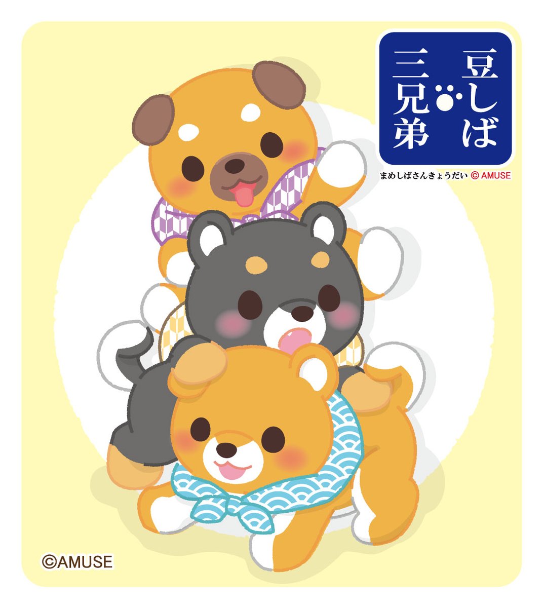 ベイビー豆しば三兄弟🐶🐶🐶✨ 豆ジローはおしゃぶりが とれたあとも