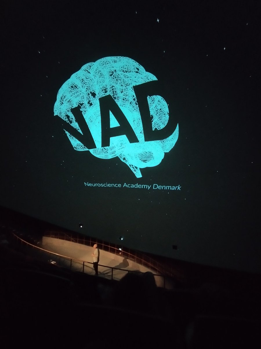 Chiara Ferrazzoli tweet media