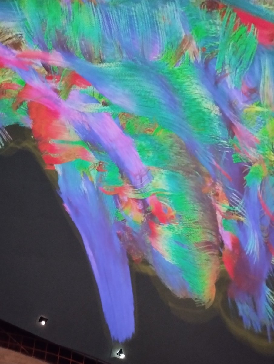 Chiara Ferrazzoli tweet media