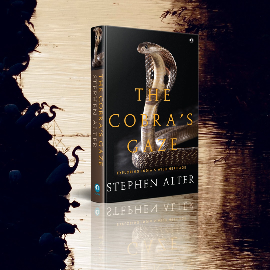 In The Cobra’s Gaze, award-winning writer Stephen Alter takes us on an astonishing journey of discovery through the wild places of India. Even as it celebrates the incredible wildlife and wild places of India, it is an urgent call to save them before it is too late.