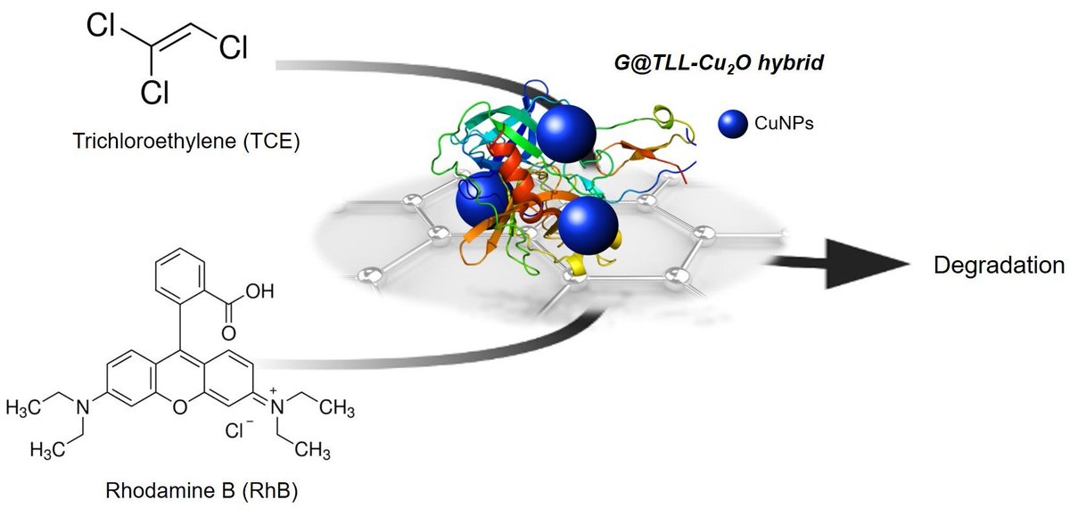 🔥 Highly Accessed Paper in 2023 📖 Graphene-TLL-Cu2ONPs Hybrid as Highly Efficient #Catalyst for #Degradation of Organic Compounds 📈 Views: 4300+ Downloads: 3300+ 🔗 mdpi.com/2079-4991/13/3…