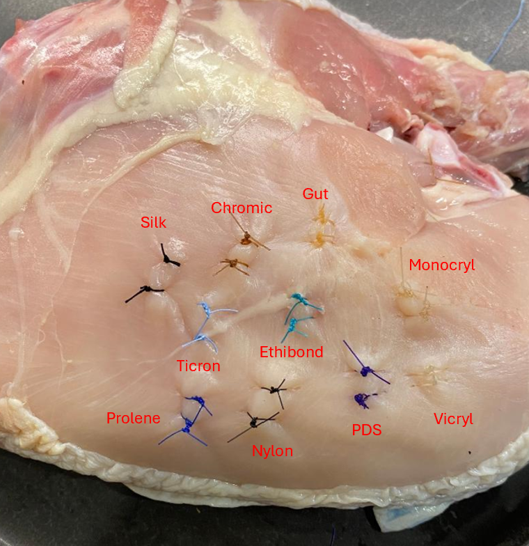 Ron Barbosa MD FACS (@rbarbosa91) on Twitter photo 🧵announcing the first <a href="/rbarbosa91/">Ron Barbosa MD FACS</a> *prospective* study.
In this experiment we will examine 10 different sutures in a chicken model to determine which ones will remain intact longer than the current UK government. 🇬🇧
The methods will be briefly described here. ⬇️
(1/) 🧵announcing the first <a href="/rbarbosa91/">Ron Barbosa MD FACS</a> *prospective* study.
In this experiment we will examine 10 different sutures in a chicken model to determine which ones will remain intact longer than the current UK government. 🇬🇧
The methods will be briefly described here. ⬇️
(1/)