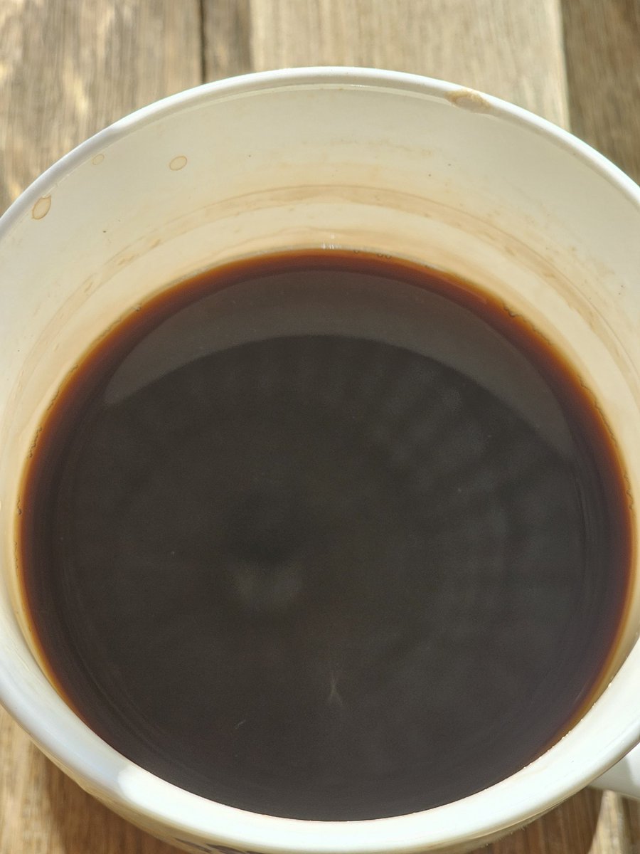 Et_smartere_liv's tweet image. Prøvd #kaffe med litt vann i pulveret noen ganger, @aksjerogfond.

Takker for tips, men må dessverre innrømme at det ikke falt helt i smak 😢

Men saltet til @EkteMsb er en banger 🤘

Så du btw denne? 👇

#Frokost Gammel 🐶 prøver nye #ting - #selvutvikling 🤪