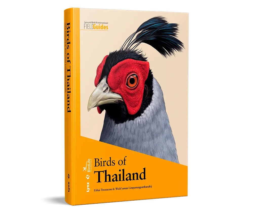 .@LynxNatureBooks field guides for #Thailand and neighbouring #Cambodia came as a result of cooperation with @BirdLife_News and are of noticeably high quality. Without doubt – go for it! 📚10000birds.com/the-new-birds-… 📚10000birds.com/birds-of-cambo… 🦜 #birding #gobirding #birdingtourism