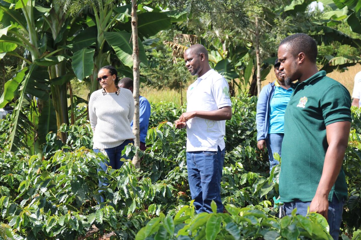 ViAgroforestry's tweet photo. The Vi Agroforestry Tanzania Country Office recently convened a CODE-P (Coffee Development Project in Tanzania’s Southern Highlands) Steering Committee meeting to assess progress and strategize for the project's culmination. 📅 https://t.co/ldk2ftIow4