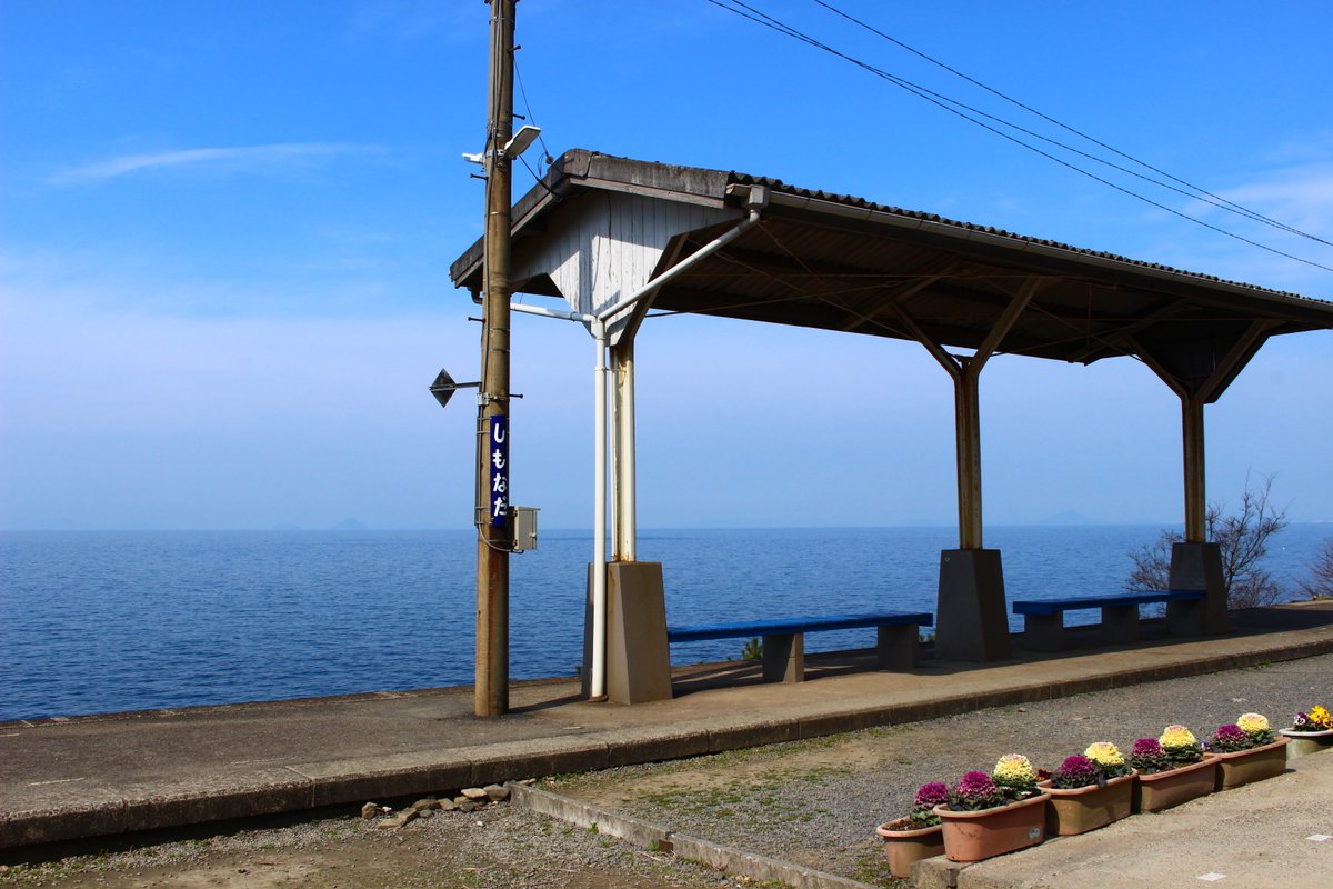 びぶ / viv tweet media