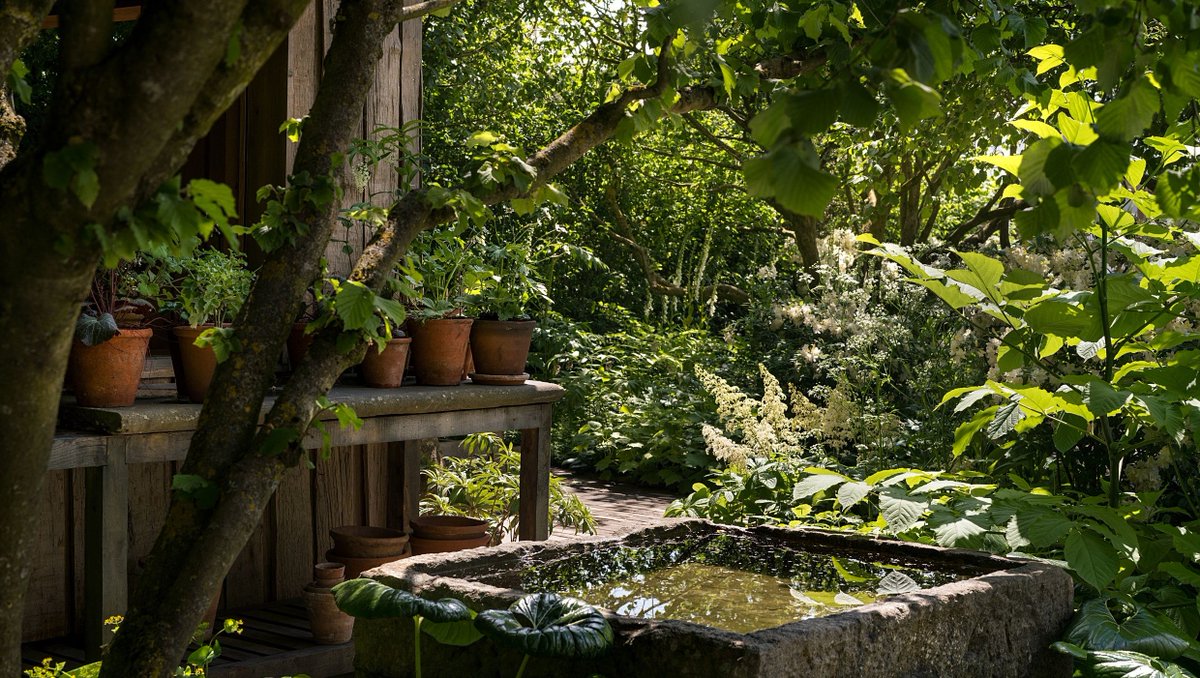 NGSOpenGardens's tweet image. There's still time to vote for the National Garden Scheme Garden in this year's People's Choice Award at #RHSChelsea2024
⁠
Follow the link below to see all the gardens &amp;amp; cast your vote (for us!) before 7pm Thu 23 May.⁠
👉️ bit.ly/BBCPeoplesChoi…

#RHSChelsea #PeoplesChoice