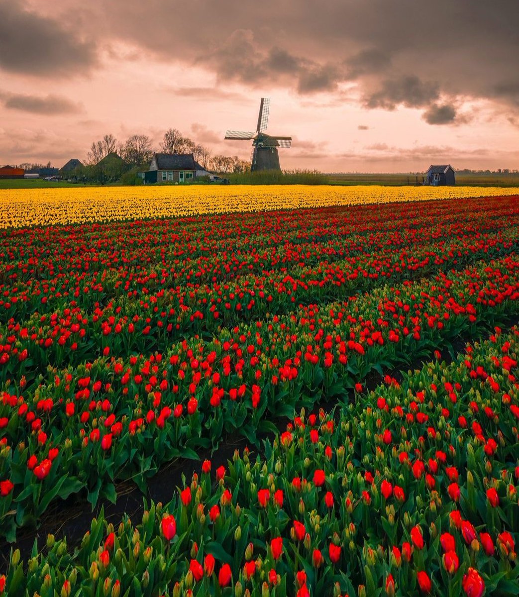 Netherlands.