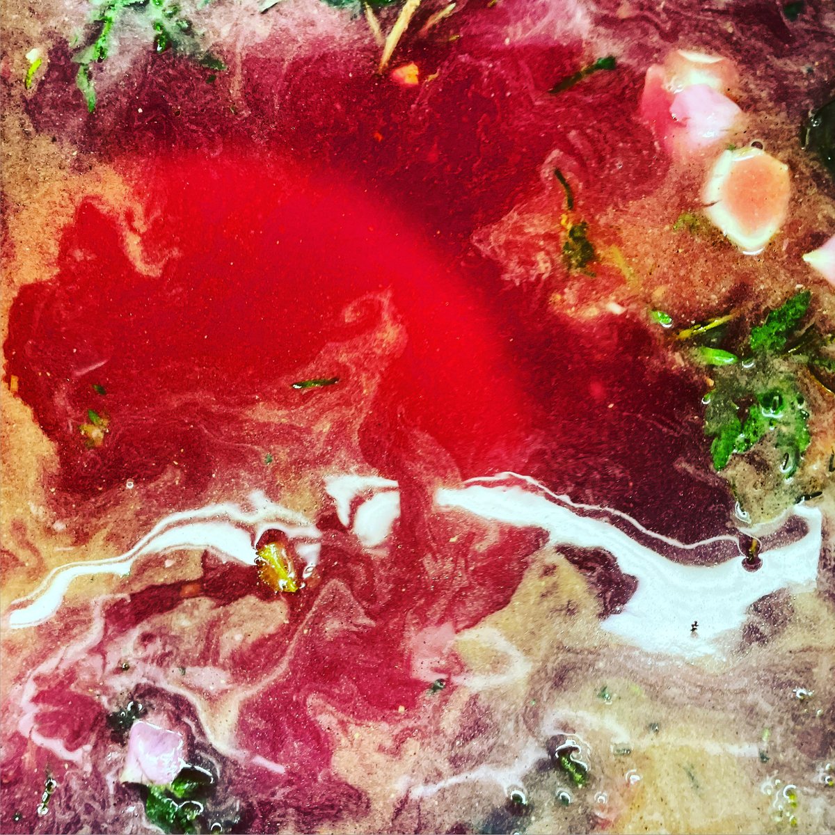 _ad_inf_'s tweet photo. dishwater designs: beetroot, herbs and some light reflections
πΈπ₯π§π¨β¬οΈπ©
#DishwaterDesigns #AbstractPhotography #TexturePhotography #TextureIsPoetry #AnalogDigitalNatural https://t.co/gZ99dpxSwg