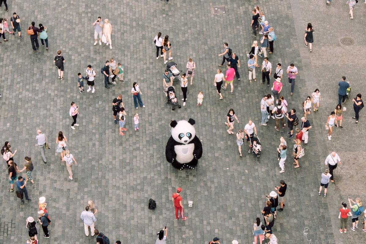 PandaRedaction's tweet photo. 🐼Looking to #standout from the #competition?🐼

@PandaRedaction can help you craft a tailored resume that gets noticed by employers. 📷

Visit 🎯https://t.co/v4uW6T0rjV to learn more.🎯

#Resumewriting #CVwriting #GeneralElection #Survivor46 #100Bitcoin #बुद्धपूर्णिमा https://t.co/E0KfhJBrrG