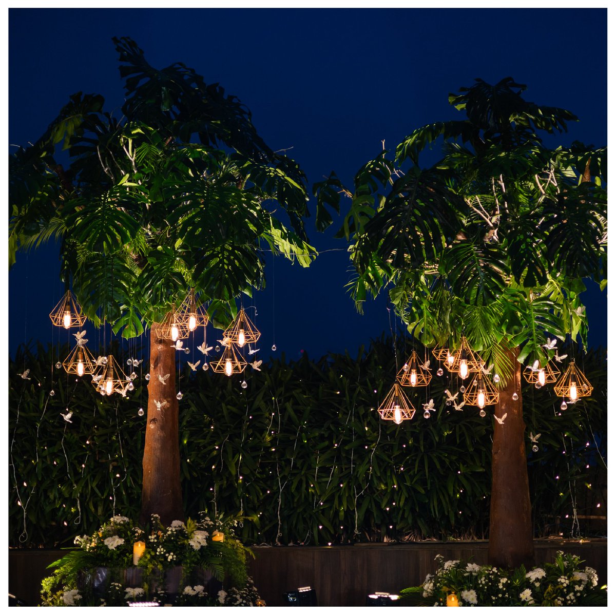 JadeBanquets's tweet photo. A magical setting where dreams come to life.✨

Beneath a canopy of stars, Jade Banquets unveils a world of elegance and romance. Each detail, meticulously crafted, creates an enchanting atmosphere for a night of love and celebration.

#jadeluxurybanquets #jadebanquet #banquet https://t.co/SGIvE8Ss1L