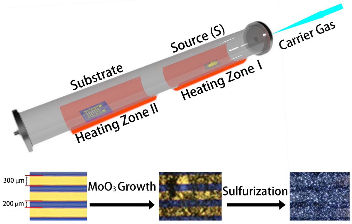 👉 #Highlycited Paper 📜 Highly Sensitive NO2 Gas #Sensors Based on MoS2@MoO3 #Magnetic Heterostructure 👥 Prof. Dong-Chen Qi from Queensland University of Technology @QUT et al. 🔗 Read more at: mdpi.com/2079-4991/12/8…