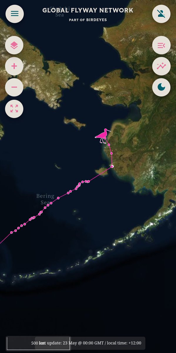 4BBRW is now on his way up to the Seaward Peninsula after spending a couple of days on the Yukon Delta. Follow him on globalflywaynetwork.org