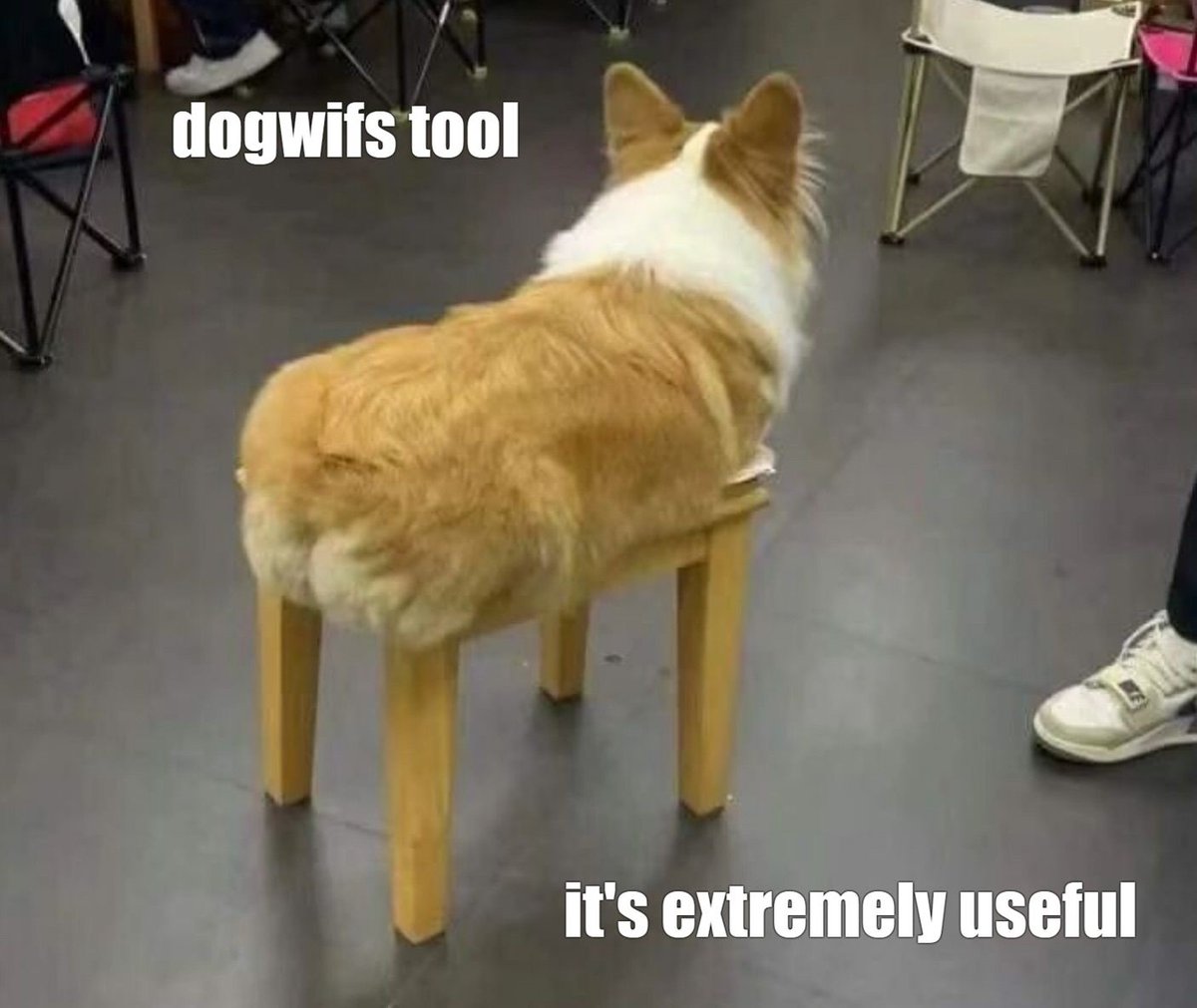 dogwifstool's tweet photo. https://t.co/wAkpv2a8OJ
$DWST #memecoinwave #cryptoassets https://t.co/nQSmP6ivME