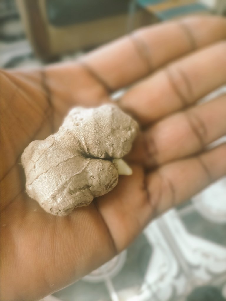 Just like that Ginger don become contraband. Cos tell me how what I'm holding is 100naira.
Detoxing just became costlier🍃💨💨💨