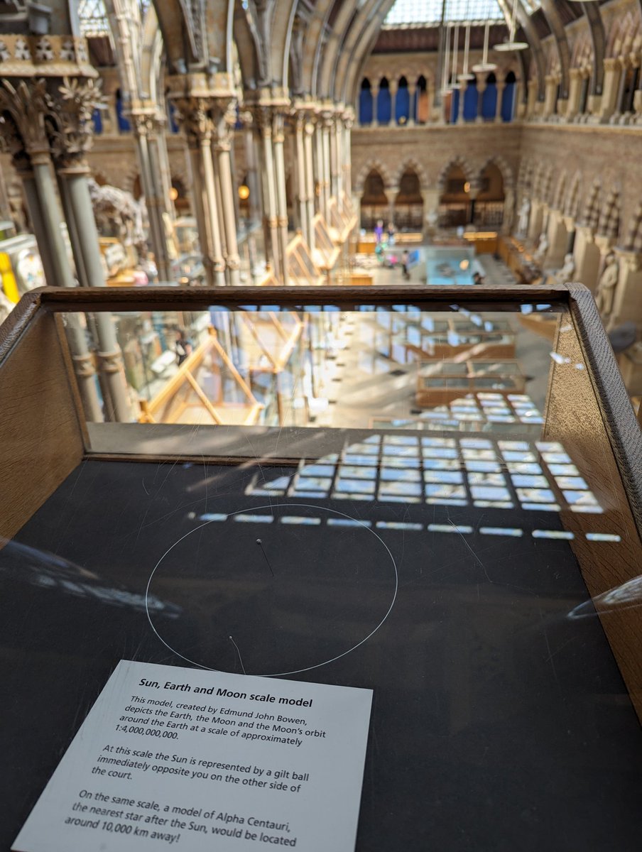 Tom MacLean tweet media