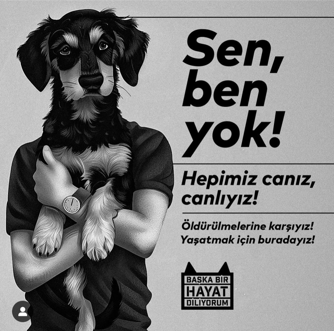 slnselanikli's tweet photo. #SokakHayvanlarıSahipsizDeğil https://t.co/Pi8w0nzUy1