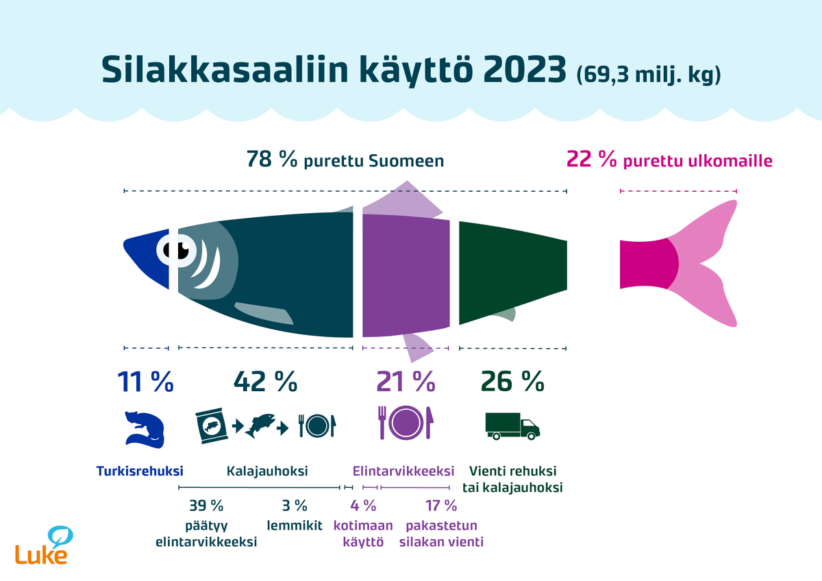 Silakka oli sekä määrältään että arvoltaan tärkein kaupallisen merikalastuksen saalislaji vuonna 2023. Arvoltaan seuraavaksi tärkeimmät olivat kilohaili, ahven, siika, kuha muikku ja lohi. #tilasto #kalastus #LukeFinland luke.fi/fi/uutiset/sil…