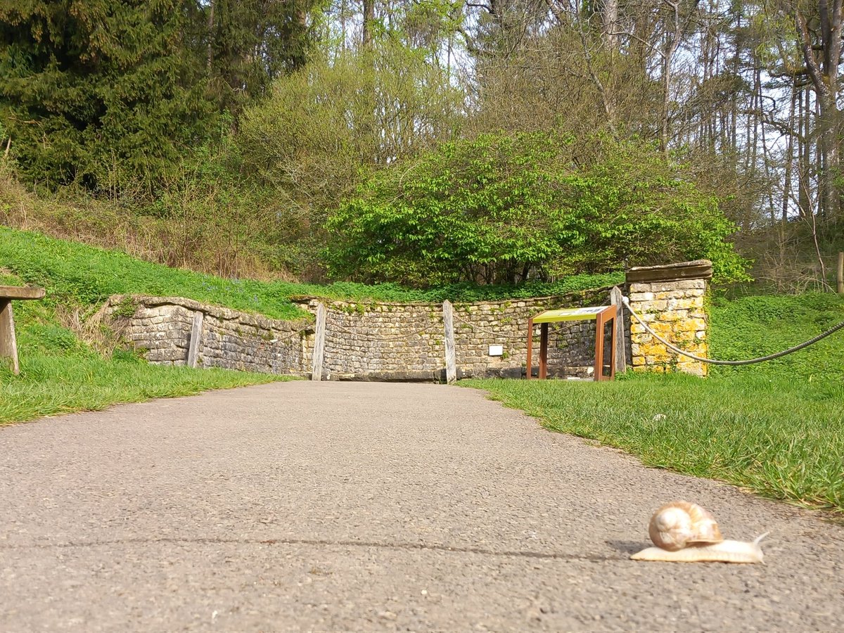 Would you like to be a model this #BankHoliday Monday? A photographer will be capturing family moments along the Roman Snail Trail and we would love you to be part of it. If you are free and keen, email james.ball2@nationaltrust.org.uk.