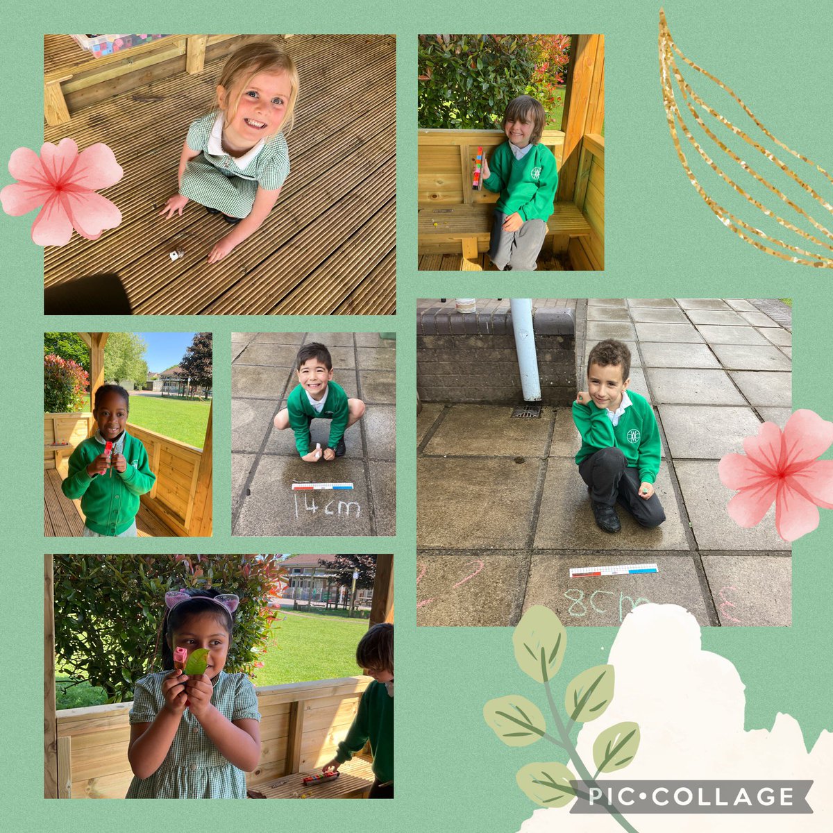 CW Primary School tweet media