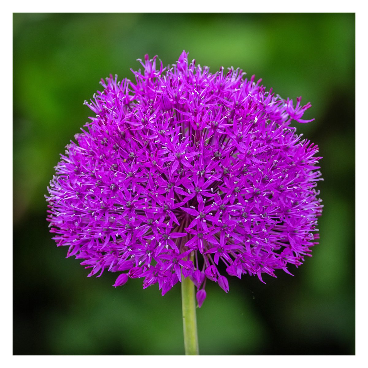 Brian Crosby tweet media