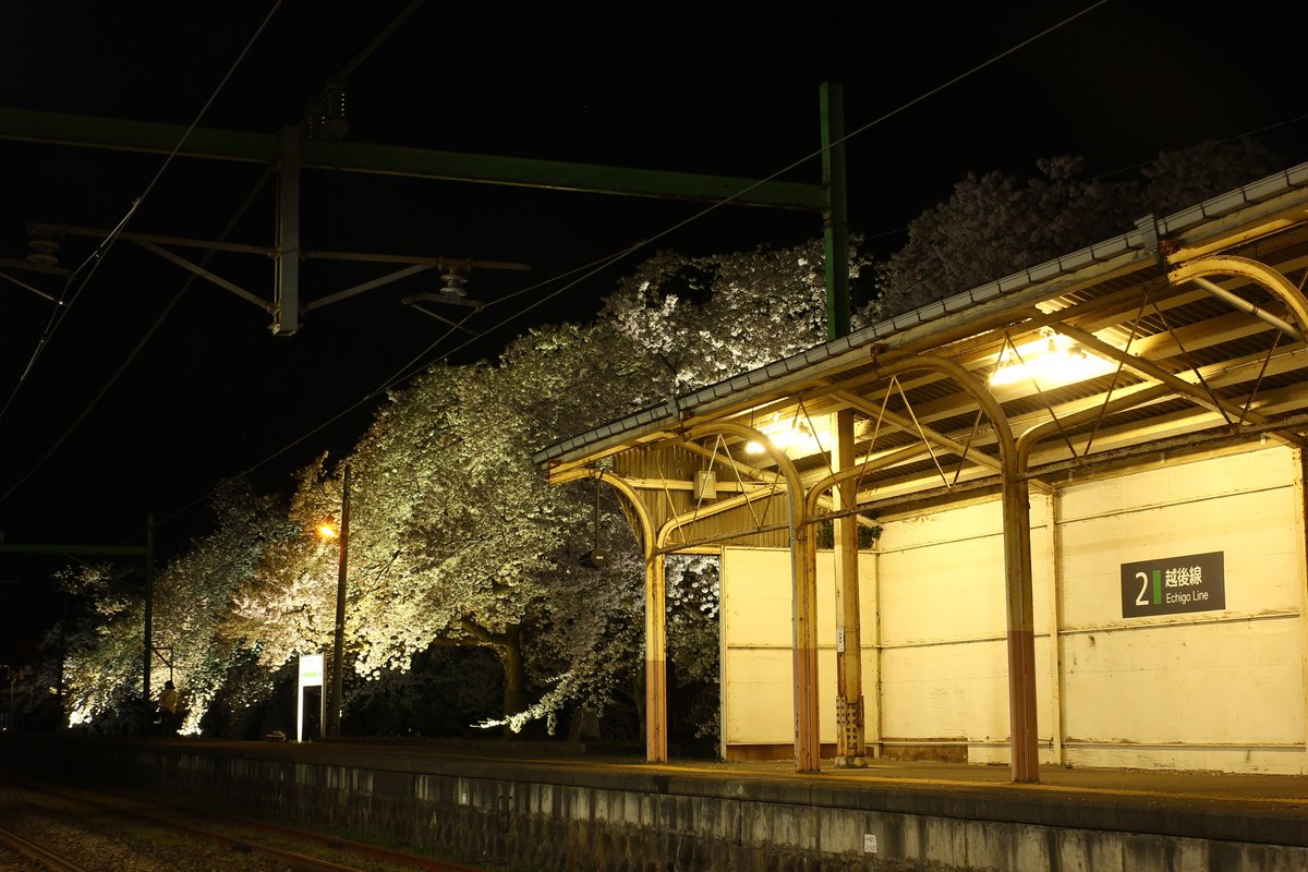 いつかの風景

雨宿りの想い出

#桜
#駅舎
#夜桜
#夜景
#cherryblossoms
#写真撮ってる人と繋がりたい
#写真好きな人と繋がりたい
#ファインダー越しの私の世界
#photography
#canon
#tamron