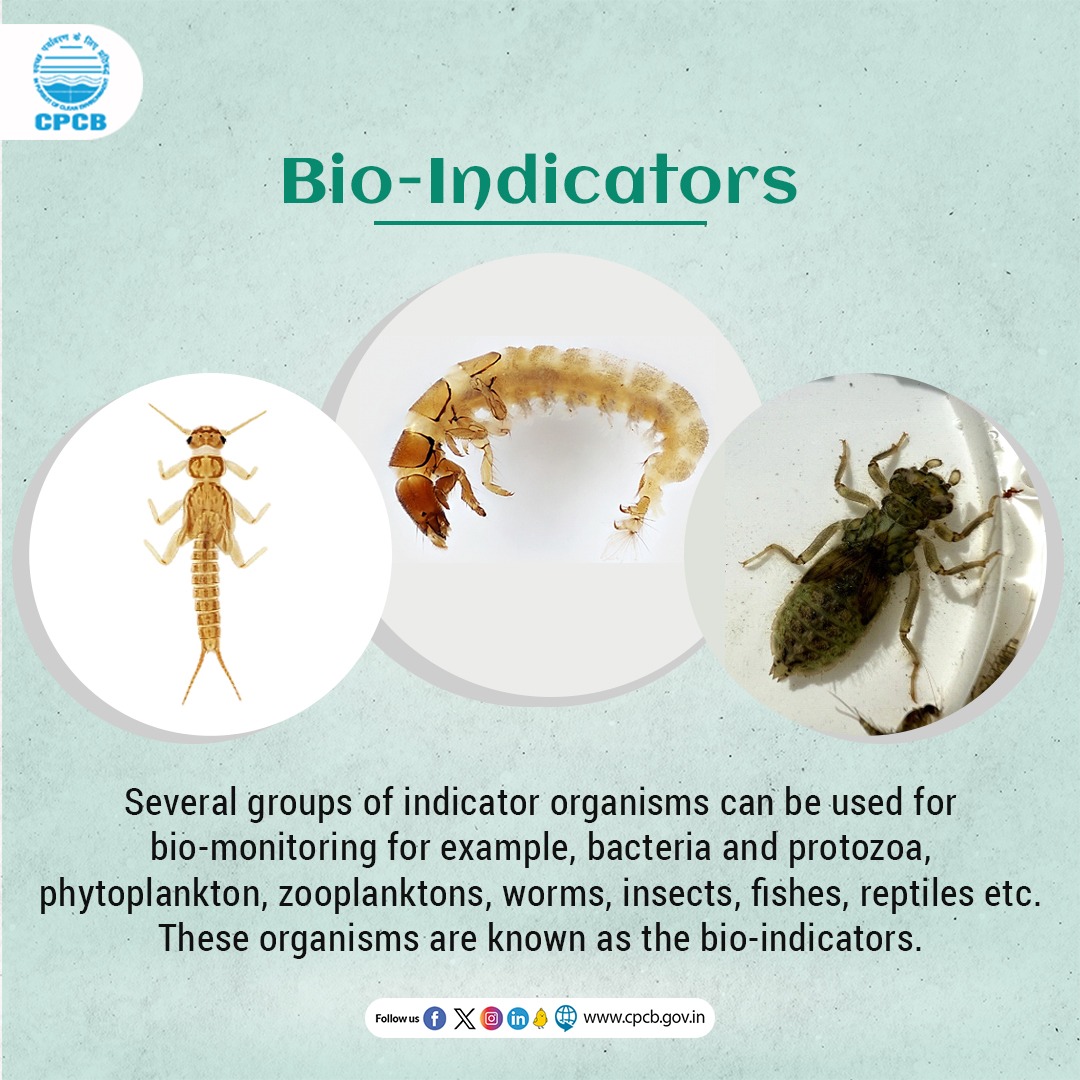 The inventory of living organisms can be used as Bio-indicators, to screen the health of the natural ecosystem such as water bodies. #Bioindicators #BioMonitoring #Benthicmacroinvertebrates #Environment #Phytoplanktons #Zooplanktons @mygovindia @moefcc @PIB_India