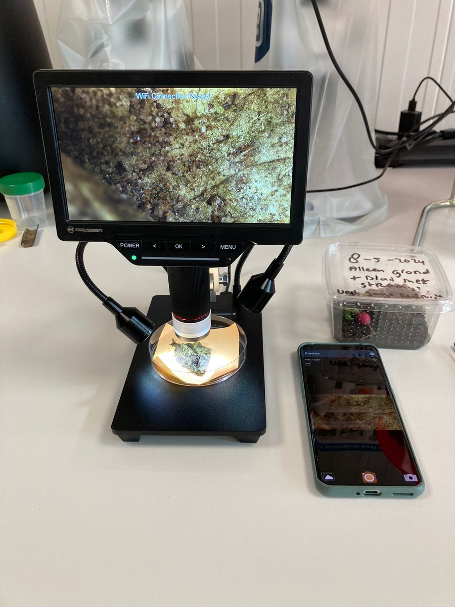 Van Iperen tweet media