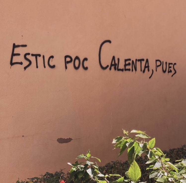 Als carrers! Fem #Vaga23M
#SíalValencià