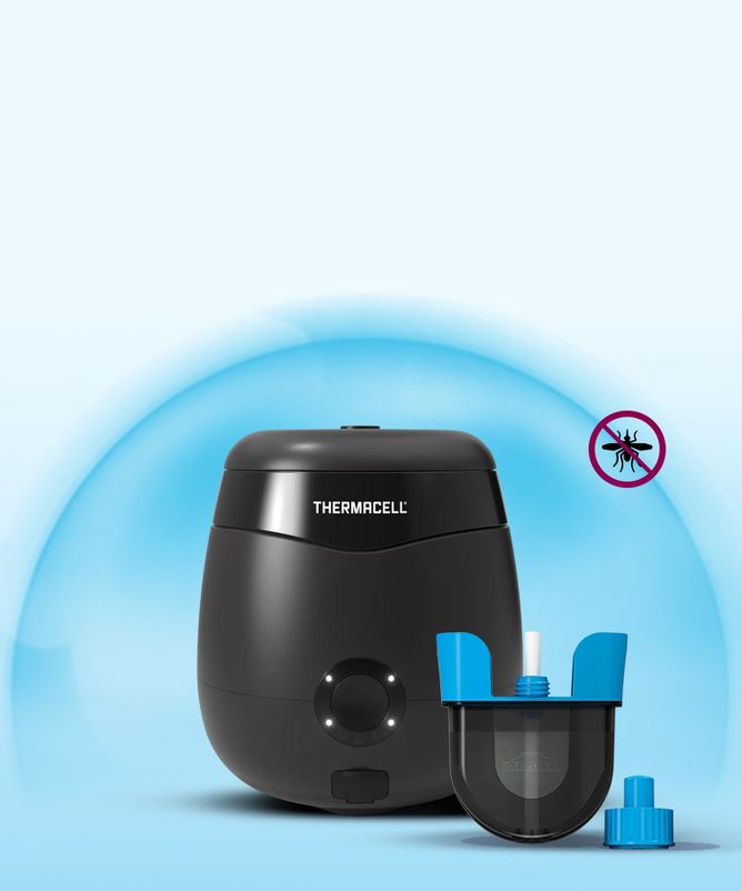 Thermowell #mosquitonet  Repellent has emerged as a popular product in this arena, promising to provide a #SafeHome  and effective means of warding off these annoying insects.
Official website: dnaindia.com/india/report-m…